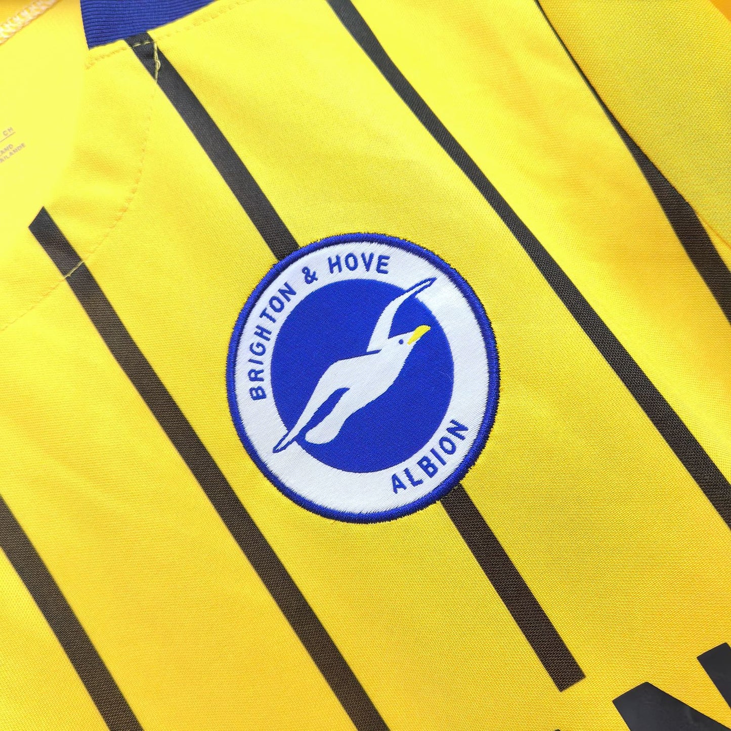 Brighton 2024-25 Away Kit